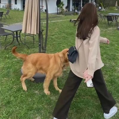 视线
